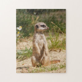Puzzle Meerkat 2014-0901