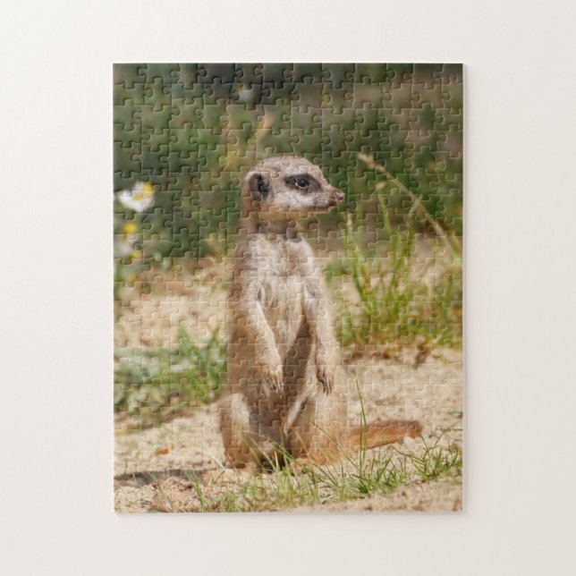 Puzzle Meerkat 2014-0901 (Vertical)
