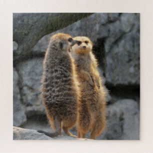 Puzzle Meerkats Mirrored