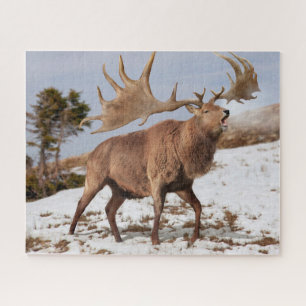 Puzzle Megaloceros (alce irlandés gigante) en