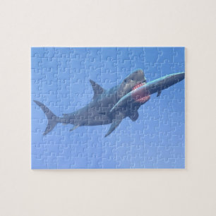 Puzzle Megalodon que come una ballena