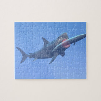 Puzzle Megalodon que come una ballena