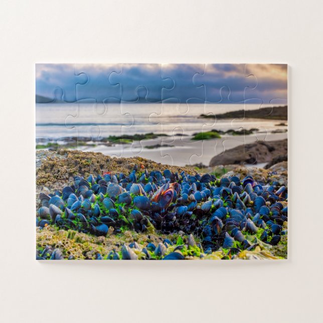 Puzzle Mejillones (Horizontal)