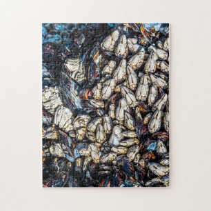 Puzzle mejillones y garrotes - Tofino, BC.