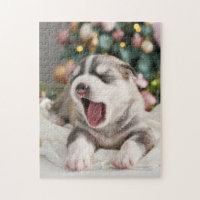 Mejor Perro Amigo