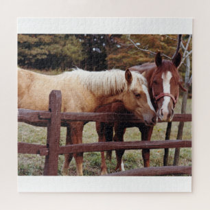 Puzzle Mejores amigos