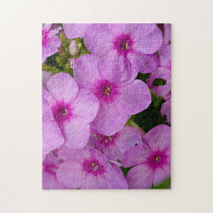 Puzzle Melodías Rosadas