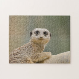 Puzzle Mercats Africa