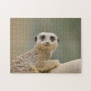 Puzzle Mercats Africa