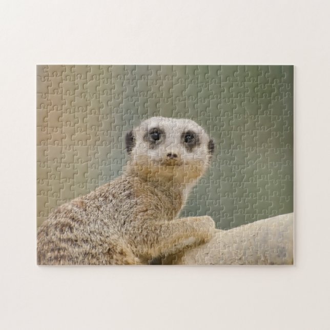 Puzzle Mercats Africa (Horizontal)