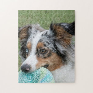 Puzzle Merle azul Sepherd norteamericano en miniatura