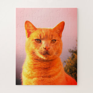 Puzzle Merlin, el ginger cat