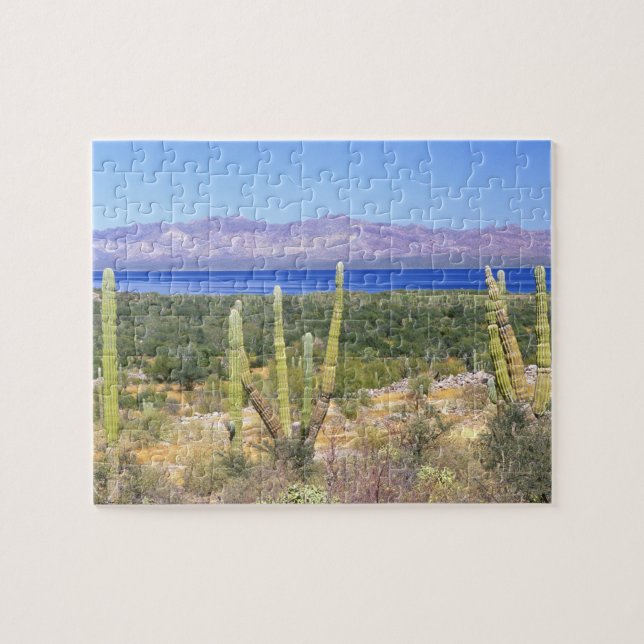 Puzzle México, Baja California Sur, Cardon Cactus en (Horizontal)