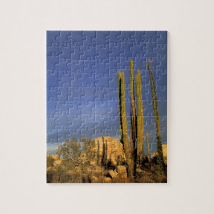 Puzzle México, Baja del Norte, Desierto Nacional de Catav