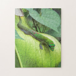 Puzzle Mezcla adentro