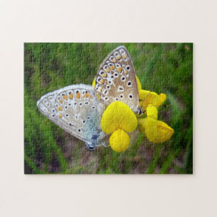 Puzzle Mezcla de fotos de mariposas azules comunes con ca