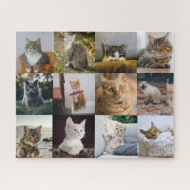 Puzzle Mi Collage de fotos de gato encendido