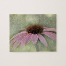 Mi Conefluente rosa... "Echinacea purpurea"