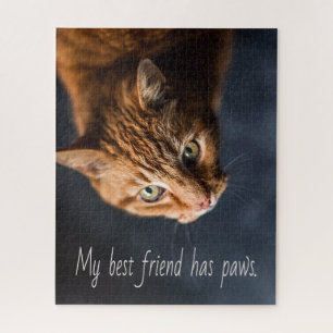 Puzzle Mi mejor amigo tiene patas, Cat Kitten Cute