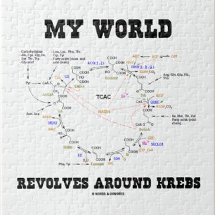 Puzzle Mi mundo gira alrededor de los krebs (ciclo energé