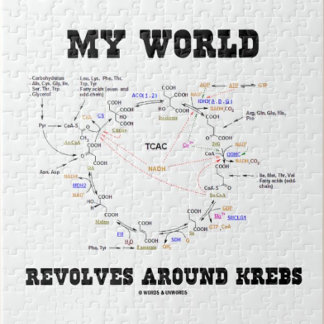 Puzzle Mi mundo gira alrededor de los krebs (ciclo energé