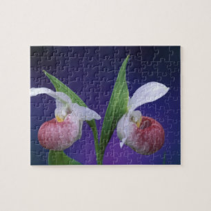 Puzzle Michigan, Parque Nacional Bruce Peninsula.Asombros