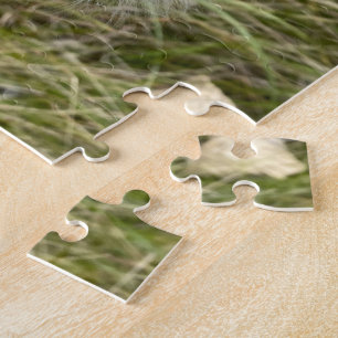 Puzzle Milkweed   Mariposa  