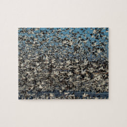 Puzzle Millares de gansos de nieve