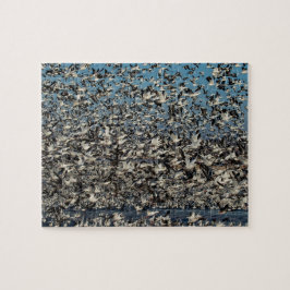 Puzzle Millares de gansos de nieve