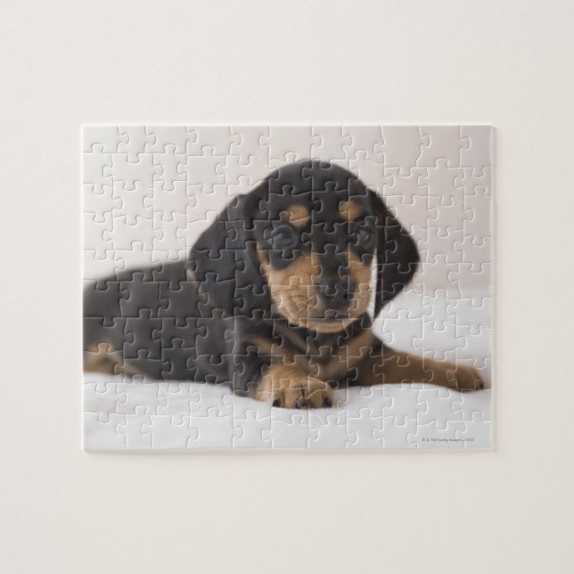 Puzzle Miniatura de Dachshund (Horizontal)