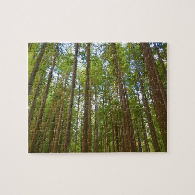 Puzzle Mirando hacia arriba al bosque maduro (Horizontal)