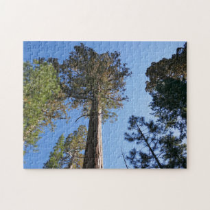 Puzzle Mirando hacia arriba en Mariposa Grove