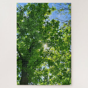 Puzzle Mirando hacia arriba hojas verdes y cielo azul - R