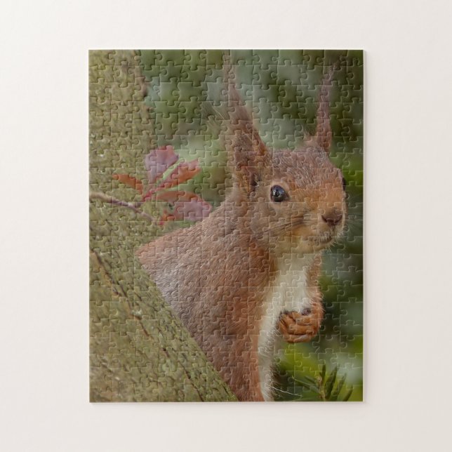 Puzzle Mischievous Red Squirrel (Vertical)