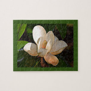 Puzzle Misisipi Magnolia