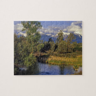 Puzzle Mission Creek atraviesa el National Bison