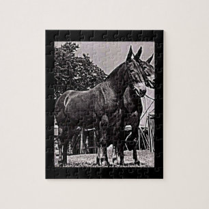 Puzzle Misuri Mule