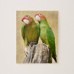 Puzzle Mitred Parakeet en madera post Postcard Square Sti