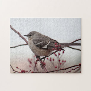 Puzzle Mockingbird septentrional