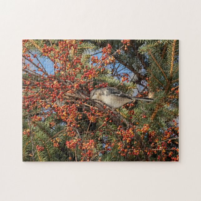Puzzle Mockingbird Y Virginia Creeper (Horizontal)