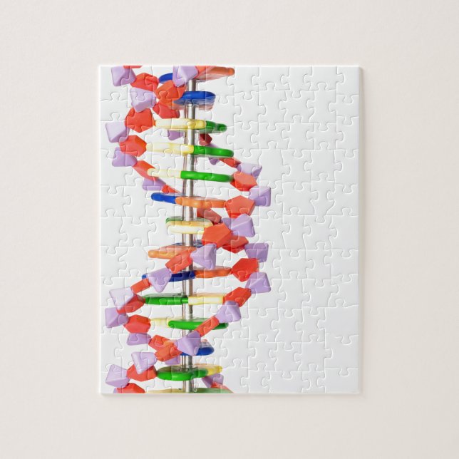 Puzzle Modelo artificial de la DNA (Vertical)
