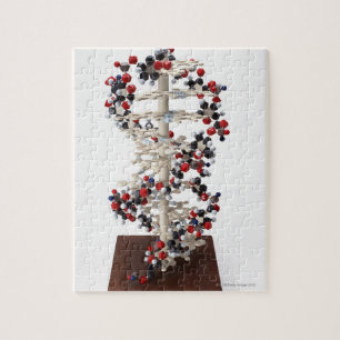 Puzzle Modelo de ADN