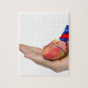 Puzzle Modelo humano artificial del corazón en la mano