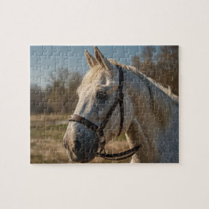 Puzzle Moderno y moderno caballo blanco hermoso