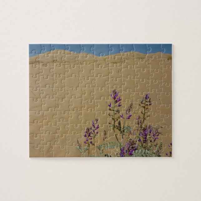 Puzzle Mojave Indigo Bush y Kelso Dunes (Horizontal)