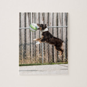 Puzzle Mojo en el movimiento