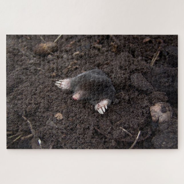 Puzzle Mole arrastrándose desde el suelo (Horizontal)