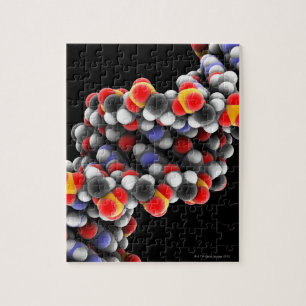Puzzle MOLÉCULA de ADN. Modelo molecular de ADN
