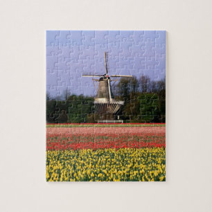 Puzzle Molino de viento en los campos del bulbo