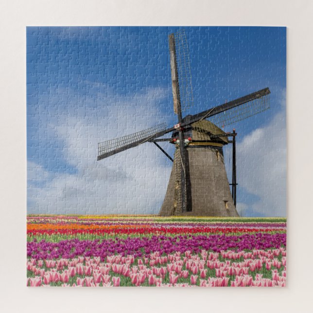 Puzzle Molino De Viento Y Tulipanes Coloridos Amsterdam P (Vertical)